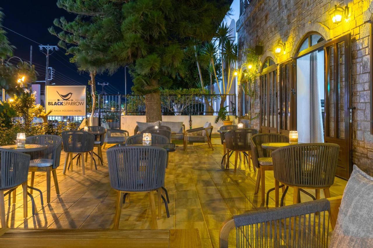 Hotel Malia Holidays Kültér fotó